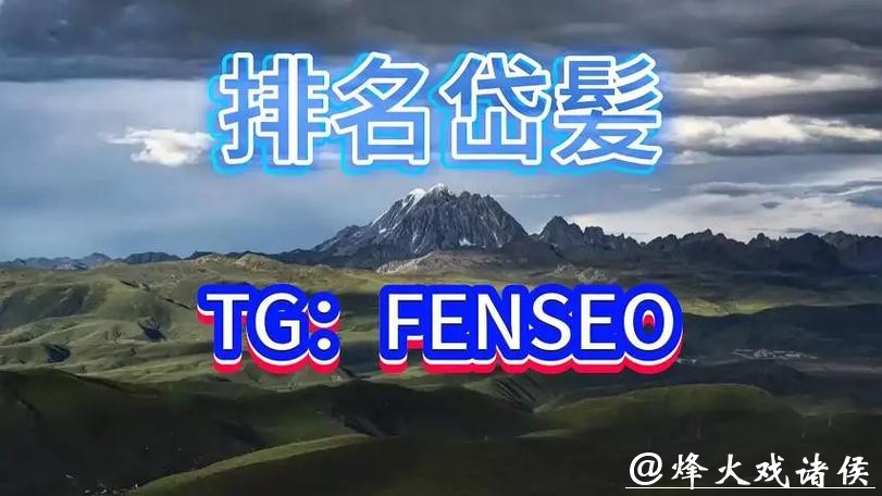 年度世界杯买球平台排行榜推荐